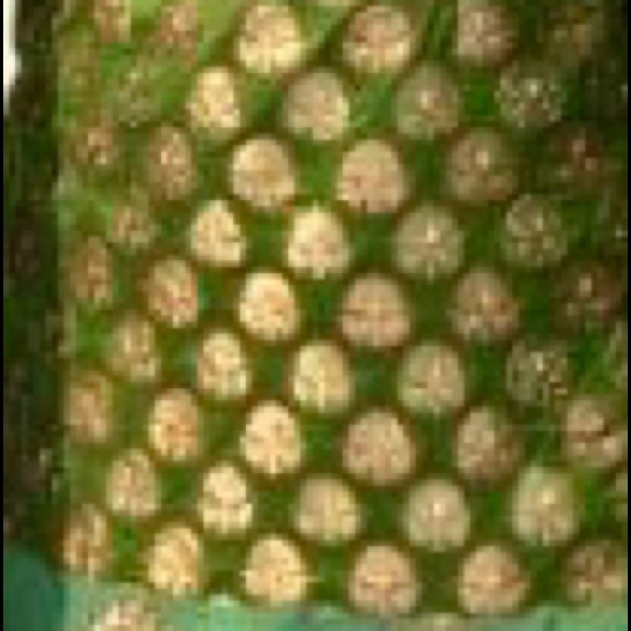 Green & Gold Indian Outfit w/embroidery,pure silk Salwaar & Green Dupatta w/lace - Picture 3 of 3